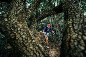 BIB: 
                            <button type="button" onclick="openModal(25392463)" class="btn btn-primary btn-sm float-right btn-popup" data-toggle="modal" data-target=".modal-high-quality">
                        <i class="fas fa-shopping-cart"></i> Add to Cart
                    </button>
                                            <button type="button" onclick="isThisMe(25392463, true)" class="btn btn-success btn-sm float-right btn-popup btn-isme hidden" data-toggle="tooltip" data-placement="bottom" title="นี่คือรูปของคุณใช่ไหม คลิกที่นี่เพื่อเอาเข้าอัลบั้ม">
                        <i class="fas fa-plus"></i> Add to album
                    </button>
                    <button type="button" onclick="isThisMe(25392463, false)" class="btn btn-warning btn-sm float-right btn-popup btn-isnotme hidden">
                        <i class="fas fa-ban"></i> Remove from album
                    </button>